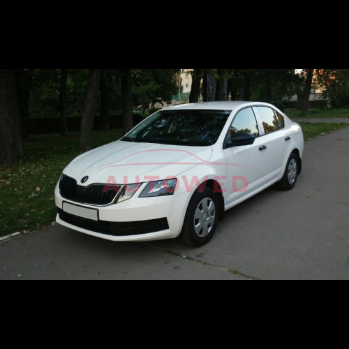 Shkoda Oktaviya