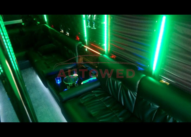 Школьный Диско-автобус USA (15 мест)-2