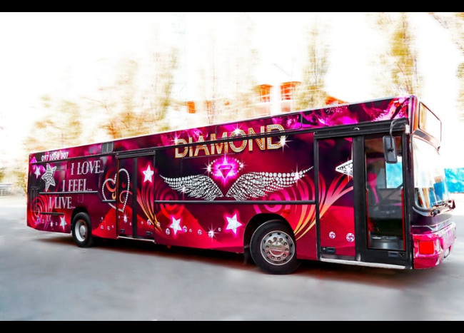Party Bus DIAMOND (30 мест)-3