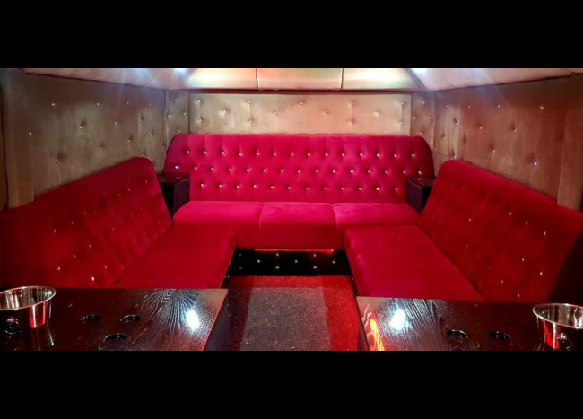 Party Bus DIAMOND (30 мест)-5