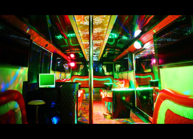 Party Bus DIAMOND (30 мест)-4