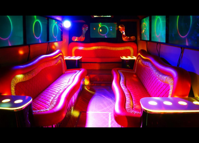 Party Bus Game-Bus Infinity (30 мест)-6