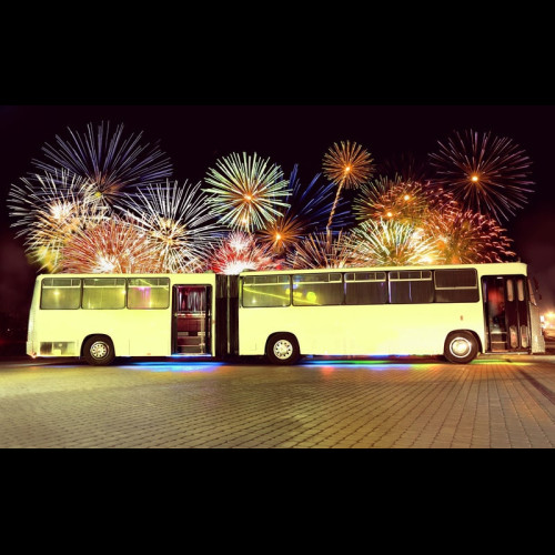 Party Bus SILVER (40 мест)